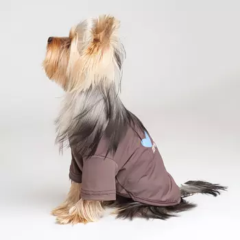 RURRI Футболка для собак Друг человека, M, коричневая