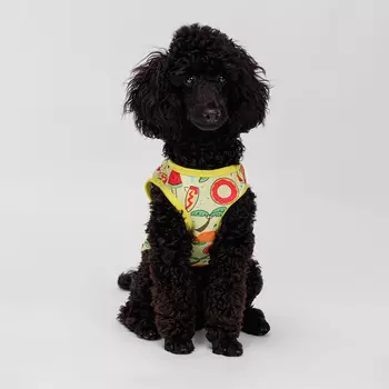 RURRI Футболка для собак и кошек, M, желтая с принтом