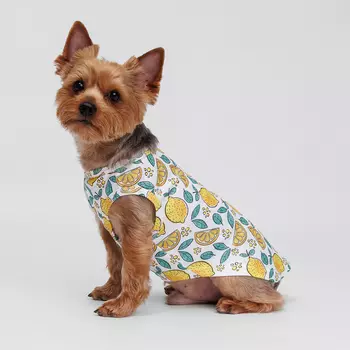 RURRI Футболка для собак и кошек, S, зелено-желтая с принтом