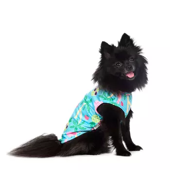 RURRI Футболка для собак с фламинго XS голубой (унисекс)