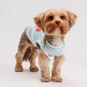 Rurri Футболка с галстуком Cool голубая S