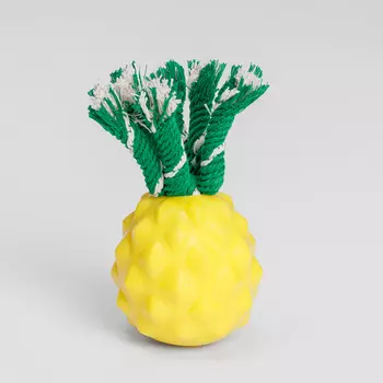 Rurri Игрушка для собак Ананас, 7,5х8,5 см