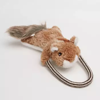 RURRI Игрушка для собак Белка на веревке, 26х12х6 см