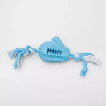 Rurri Игрушка для собак Кактус на веревке, 30х9х7 см