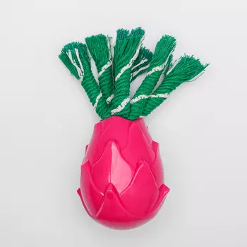 RURRI Игрушка для собак Питахайя, 7,7х9,7 см