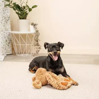 Rurri Игрушка для собак Щенок, 30 см