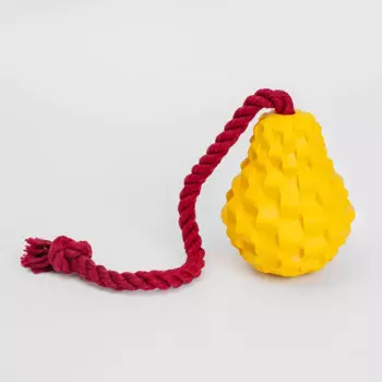 RURRI Игрушка из каучука для собак Тыква, 10х8 см