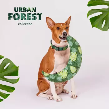 Rurri Игрушка-подушка для собак Полумесяц Urban Forest, 30х30 см