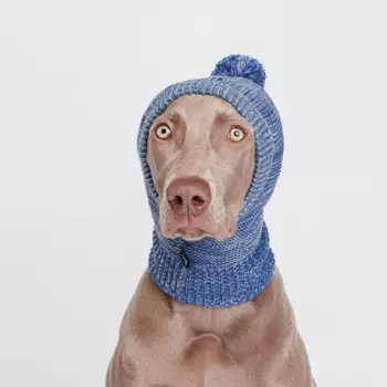 RURRI Капор для собак, 26x23 см, синий