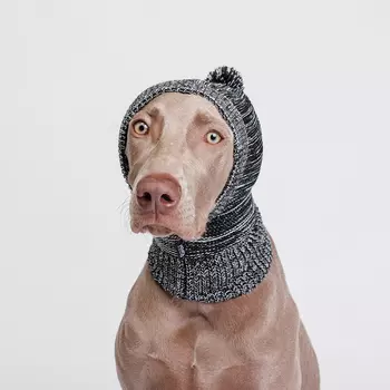 RURRI Капор для собак, 30х29 см, серый