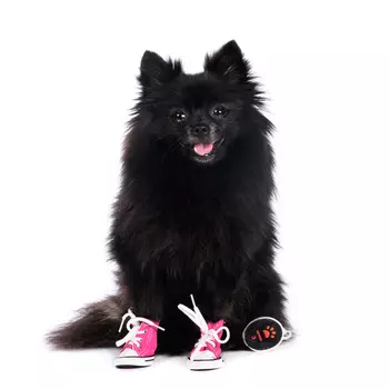 RURRI Кеды джинсовые для собак M розовый (унисекс)