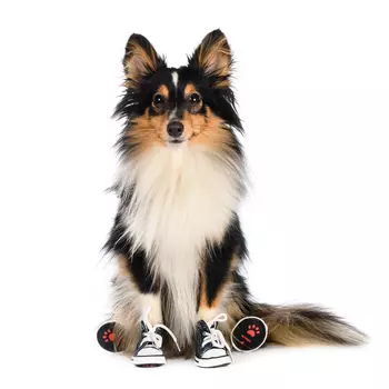 Rurri Кеды S джинсовые для собак