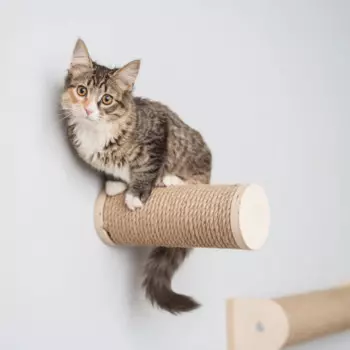 RURRI Когтеточка-ступенька Активити (25х9,5 см) из джута для кошек