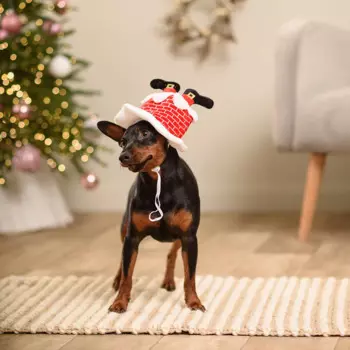 RURRI Колпак новогодний с ногами для собак, 22 см