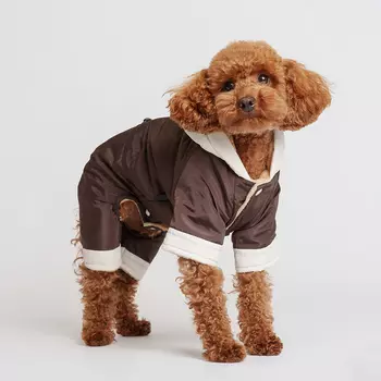 RURRI Комбинезон для собак, 2XL, серый (девочка)