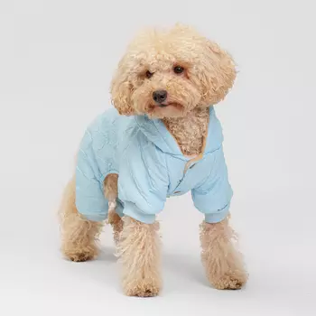 RURRI Комбинезон для собак, XL, голубой (мальчик)