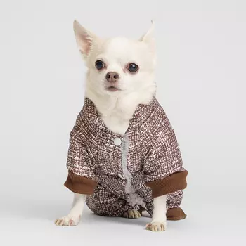 RURRI Комбинезон для собак, XS, коричневый (девочка)