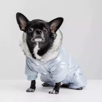 Rurri Комбинезон с меховым капюшоном для собак, M, голубой (девочка)