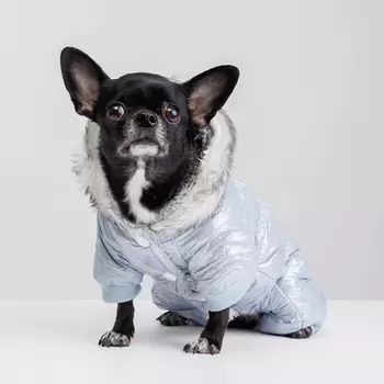 Rurri Комбинезон с меховым капюшоном для собак, XS, голубой (девочка)