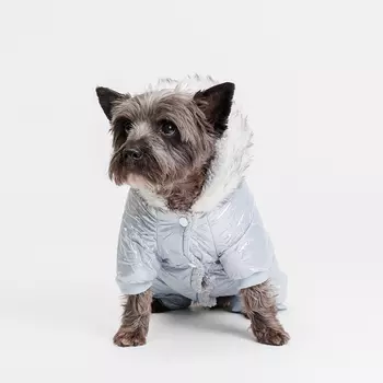 Rurri Комбинезон с меховым капюшоном для собак, XL, голубой (девочка)