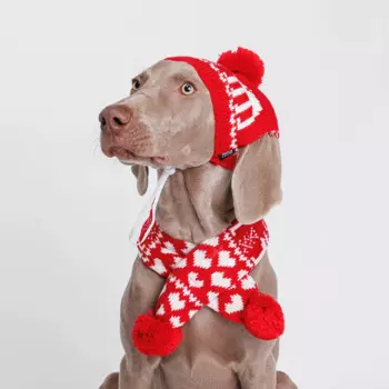 Rurri Комплект (шапка и шарф) для собак, шапка 28х12 см, шарф 50х6 см, красный