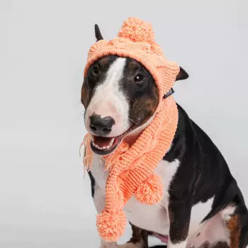 RURRI Комплект (шапка и шарф) из шенилла для собак, шапка 18х16 см, шарф 60х8 см, персиковый
