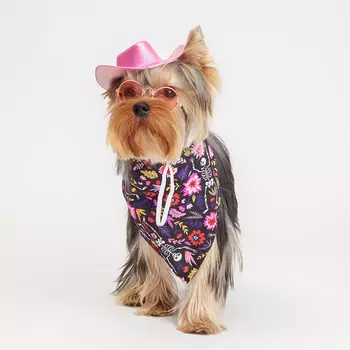 RURRI Комплект (шляпа, очки и бандана) для кошек и собак, шляпа 11х12,3х3,5 см, очки 7,5х3,2 см, длина дужек 7 см, розовый