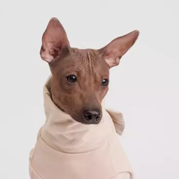 Rurri Костюм флисовый бежевый XL