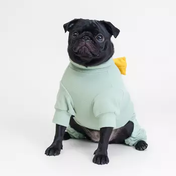 RURRI Костюм флисовый с бантом для кошек и собак, XL, зеленый