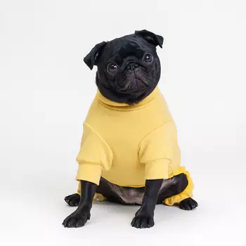 RURRI Костюм флисовый с бантом для кошек и собак, M, желтый