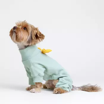 RURRI Костюм флисовый с бантом для кошек и собак, XS, зеленый