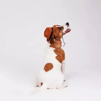 RURRI Ковбойская шляпа для собак, 13х9х5,5 см, коричневая