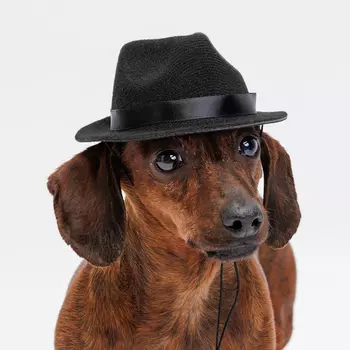 RURRI Ковбойская шляпа для собак и кошек, 15х12,5х5,5 см, черная (унисекс)