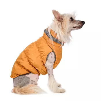 Rurri Куртка для собак на молнии желтая