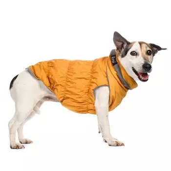 Rurri Куртка на молнии для собак Французский бульдог XL желтый (унисекс)