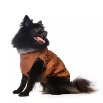 Rurri Куртка на молнии для собак 3XL (унисекс)