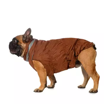 Rurri Куртка на молнии для собак S (унисекс)