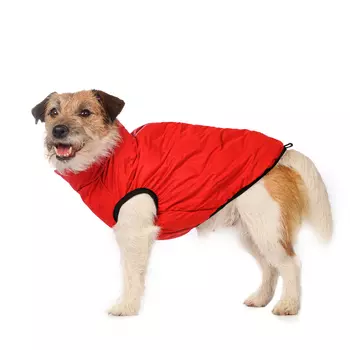Rurri Куртка на молнии для собак L красный (унисекс)