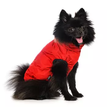 Rurri Куртка на молнии для собак S красный (унисекс)