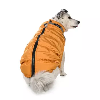Rurri Куртка на молнии для собак 3XL желтый (унисекс)