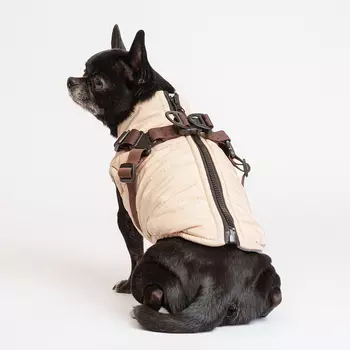 RURRI Куртка со шлейкой для собак, XS, бежевая