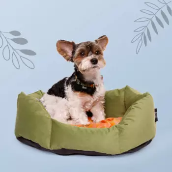 Rurri Лежак для кошек и собак Bright Сity, 50х47х13 см