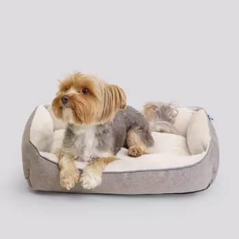 RURRI Лежак для кошек и собак мелких пород Лофт Фрейм, 48х37х10 см, бежевый