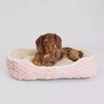 RURRI Лежак для собак и кошек Софт, 61х50х12 см, желтый