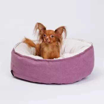 RURRI Лежак круглый для кошек и собак мелких пород, 55х55х18 см
