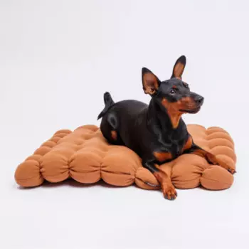 RURRI Лежак квадратный для кошек и собак Крекер, 50 см, коричневый