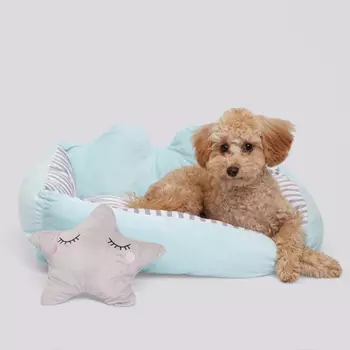 RURRI Лежак с игрушкой для кошек и собак мелких пород Звёздочка, 55х47х16 см, голубой