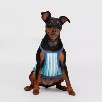 RURRI Майка для кошек и собак, L, голубая в полоску