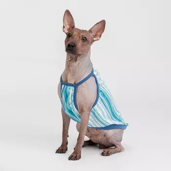 Rurri Майка для кошек и собак, XL, голубая в полоску