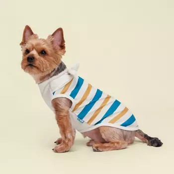 RURRI Майка для собак и кошек Аквамарин, XS, песочно-синяя в полоску (унисекс)